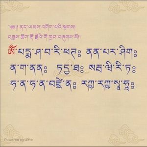 Meet your Posher, Tsering